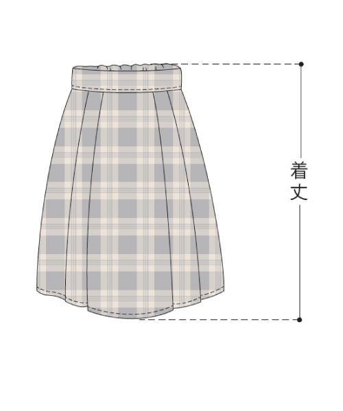 BT595 プリーツスカート