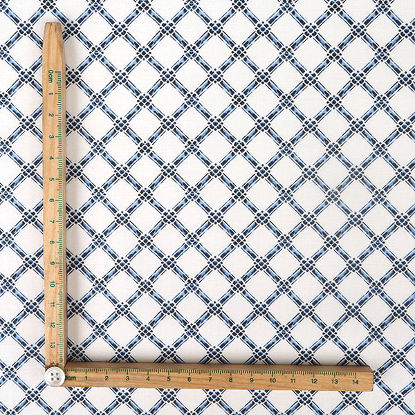 【シーチングorオックス:50cm単位】 エコファブリック fab-cm00036