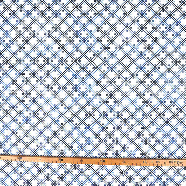 【シーチングorオックス:50cm単位】 エコファブリック fab-cm00043