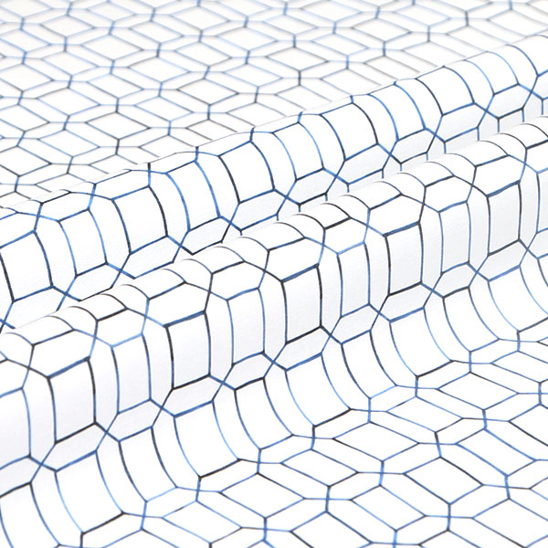 【シーチングorオックス:50cm単位】 エコファブリック fab-cm00046