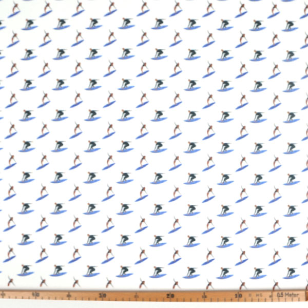 【シーチングorオックス:50cm単位】 エコファブリック fab-cm00121