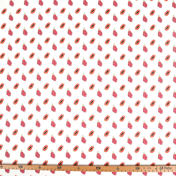 【シーチングorオックス:50cm単位】 エコファブリック fab-cm00129