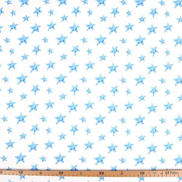 【シーチングorオックス:50cm単位】 エコファブリック fab-cm00206