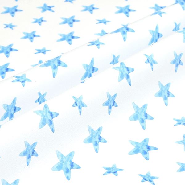 【シーチングorオックス:50cm単位】 エコファブリック fab-cm00206