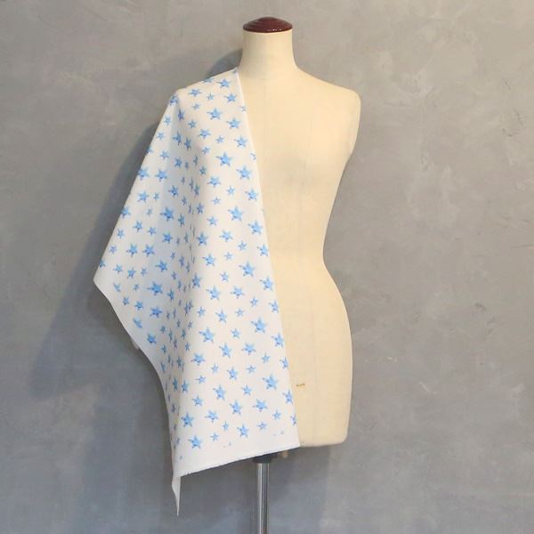 【シーチングorオックス:50cm単位】 エコファブリック fab-cm00206