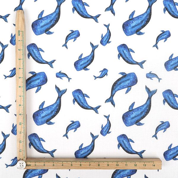 【シーチングorオックス:50cm単位】 エコファブリック fab-cm00210