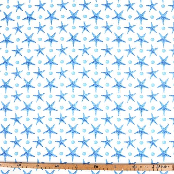 【シーチングorオックス:50cm単位】 エコファブリック fab-cm00214