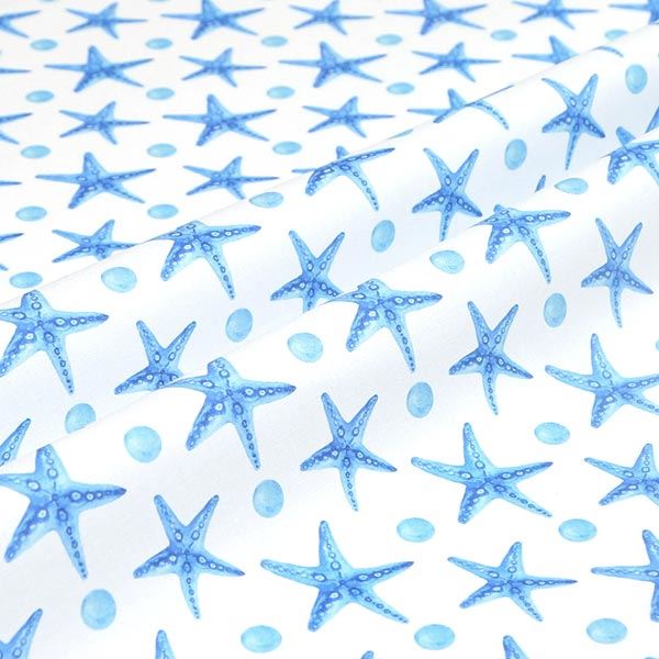 【シーチングorオックス:50cm単位】 エコファブリック fab-cm00214