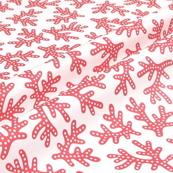 【シーチングorオックス:50cm単位】 エコファブリック fab-cm00216