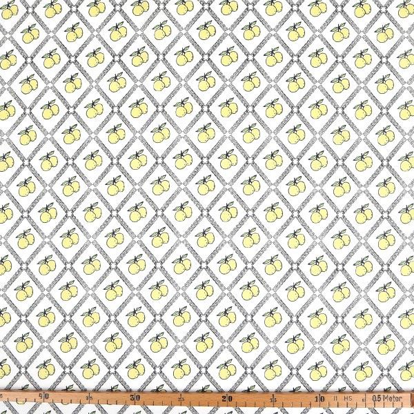 【シーチングorオックス:50cm単位】 エコファブリック fab-cm00227