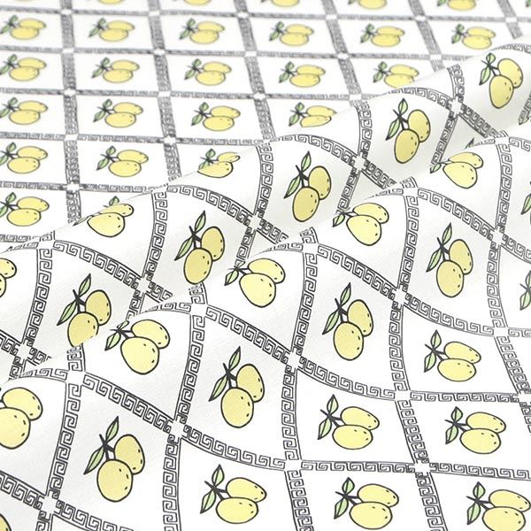 【シーチングorオックス:50cm単位】 エコファブリック fab-cm00227