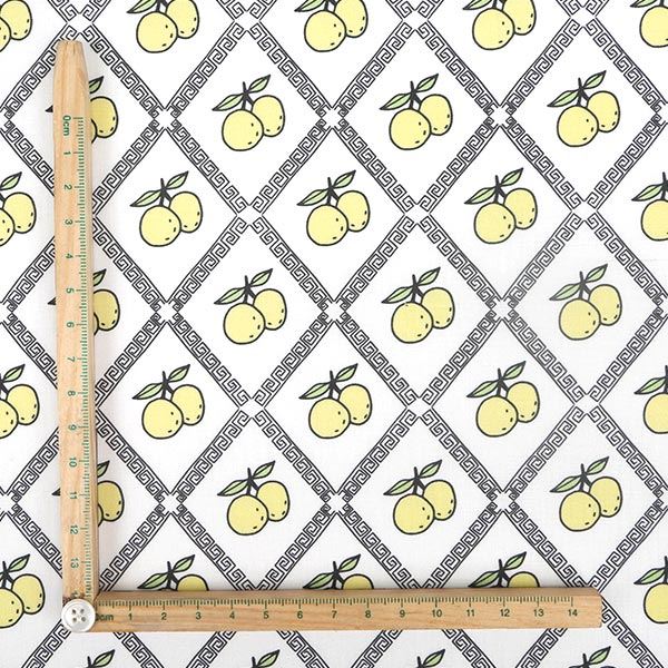 【シーチングorオックス:50cm単位】 エコファブリック fab-cm00227