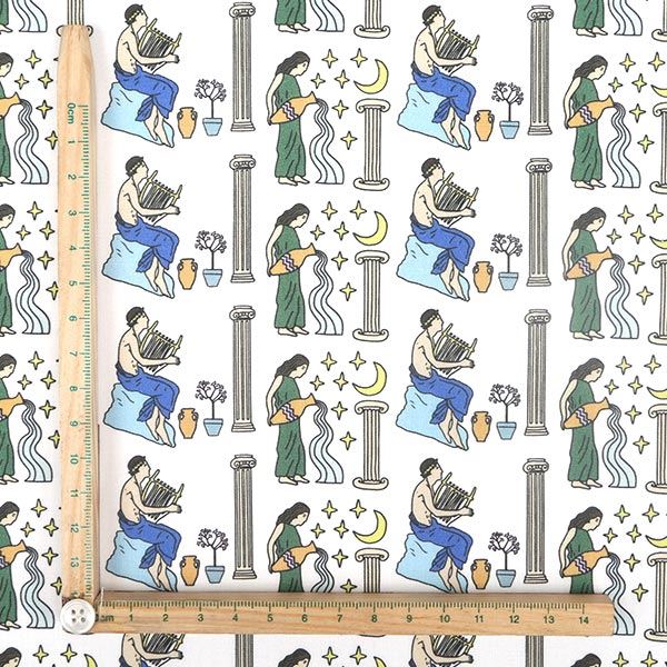 【シーチングorオックス:50cm単位】 エコファブリック fab-cm00231