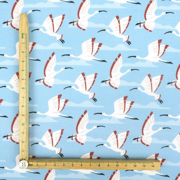 【シーチングorオックス:50cm単位】 エコファブリック fab-cm00260