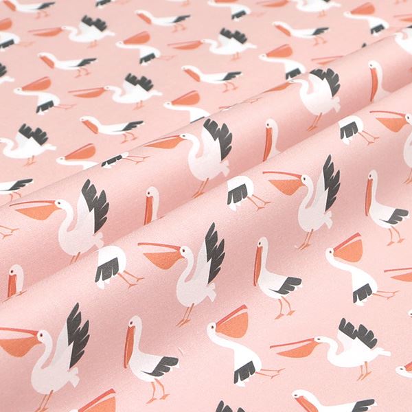 【シーチングorオックス:50cm単位】 エコファブリック fab-cm00261