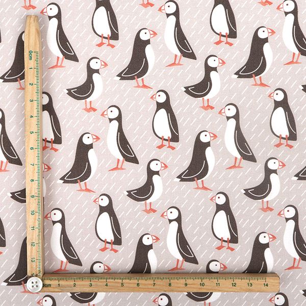 【シーチングorオックス:50cm単位】 エコファブリック fab-cm00262