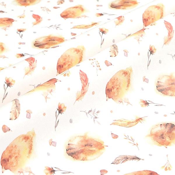 【シーチングorオックス:50cm単位】 エコファブリック fab-cm00346