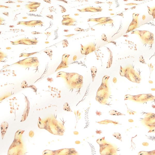 【シーチングorオックス:50cm単位】 エコファブリック fab-cm00347