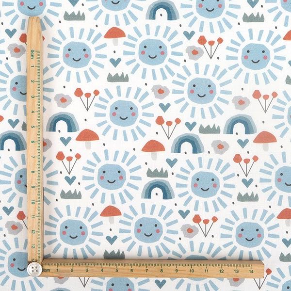 【シーチングorオックス:50cm単位】 エコファブリック fab-cm00381