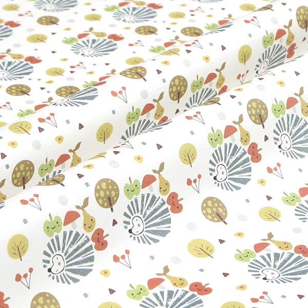 【シーチングorオックス:50cm単位】 エコファブリック fab-cm00393