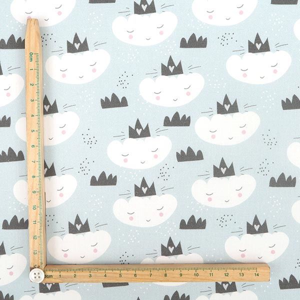 【シーチングorオックス:50cm単位】 エコファブリック fab-cm00419