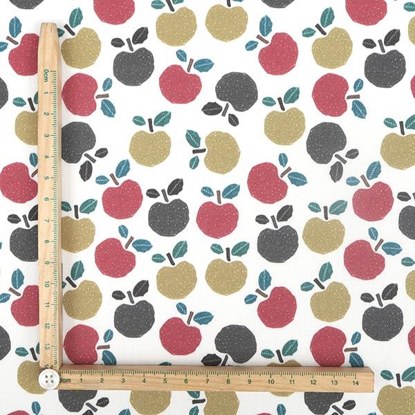 【シーチングorオックス:50cm単位】 エコファブリック fab-cm00421