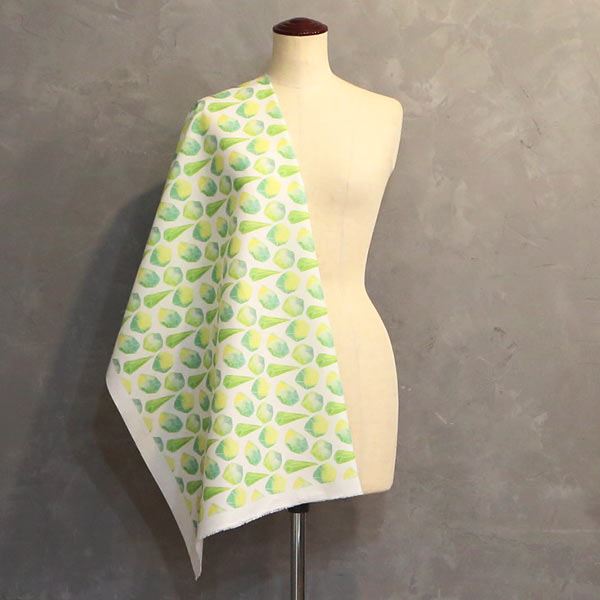 【シーチングorオックス:50cm単位】 エコファブリック fab-cm00426