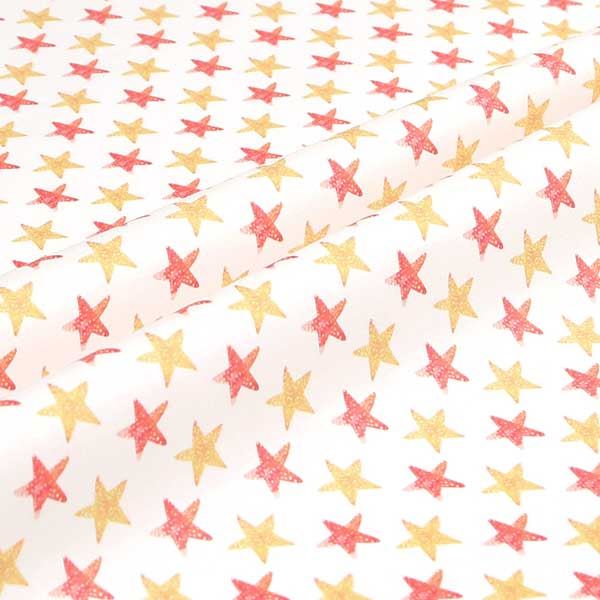 【シーチングorオックス:50cm単位】 エコファブリック fab-cm00443