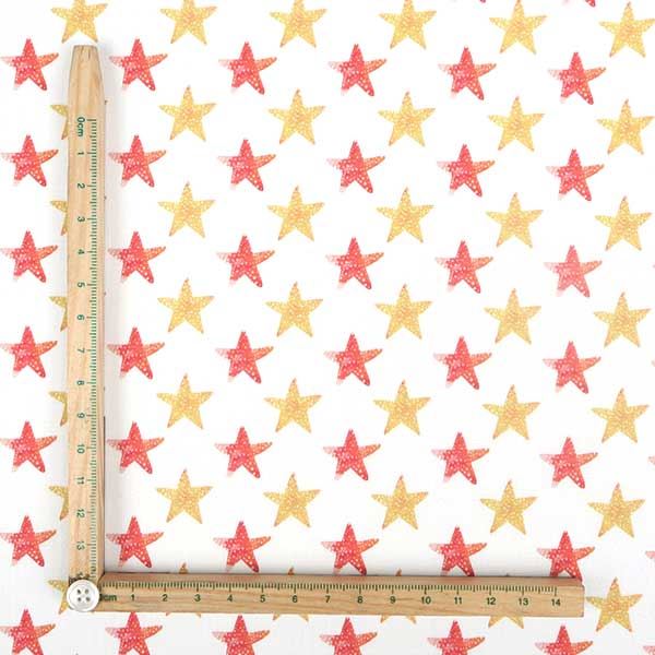 【シーチングorオックス:50cm単位】 エコファブリック fab-cm00443