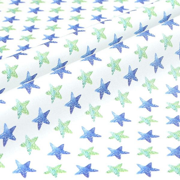 【シーチングorオックス:50cm単位】 エコファブリック fab-cm00444