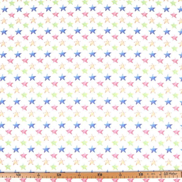 【シーチングorオックス:50cm単位】 エコファブリック fab-cm00445