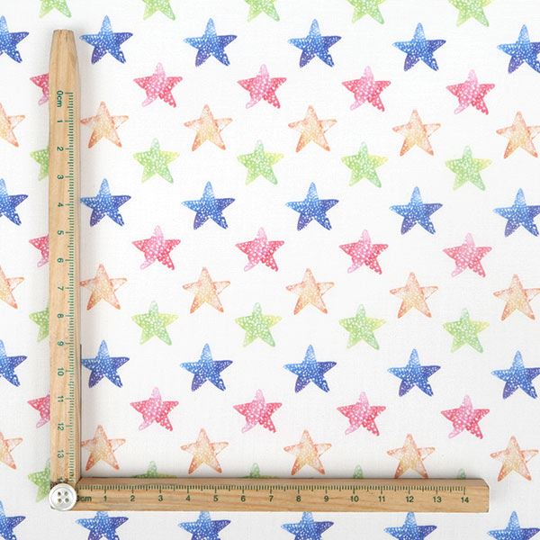 【シーチングorオックス:50cm単位】 エコファブリック fab-cm00445