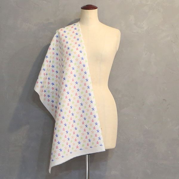 【シーチングorオックス:50cm単位】 エコファブリック fab-cm00445