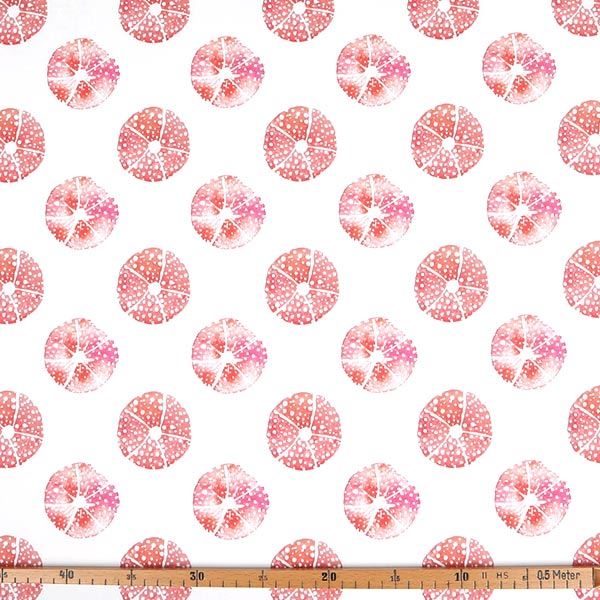 【シーチングorオックス:50cm単位】 エコファブリック fab-cm00447