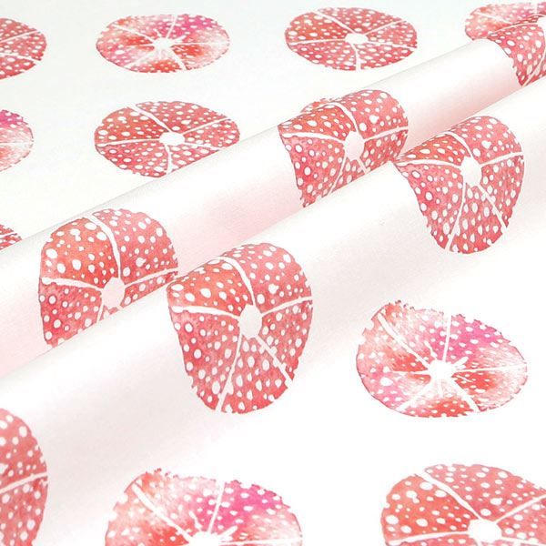 【シーチングorオックス:50cm単位】 エコファブリック fab-cm00447