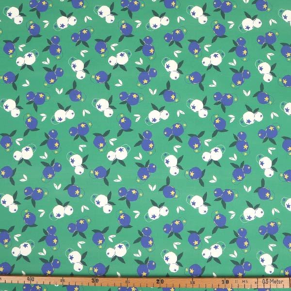 【シーチングorオックス:50cm単位】 エコファブリック fab-cm00475