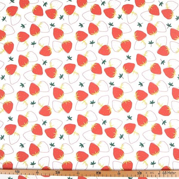 【シーチングorオックス:50cm単位】 エコファブリック fab-cm00476