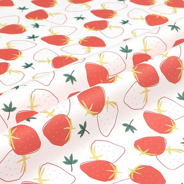 【シーチングorオックス:50cm単位】 エコファブリック fab-cm00476