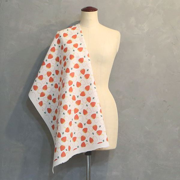 【シーチングorオックス:50cm単位】 エコファブリック fab-cm00476