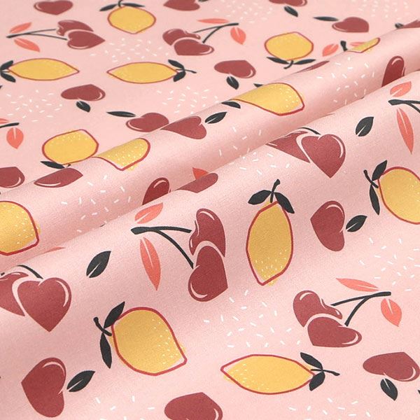 【シーチングorオックス:50cm単位】 エコファブリック fab-cm00477