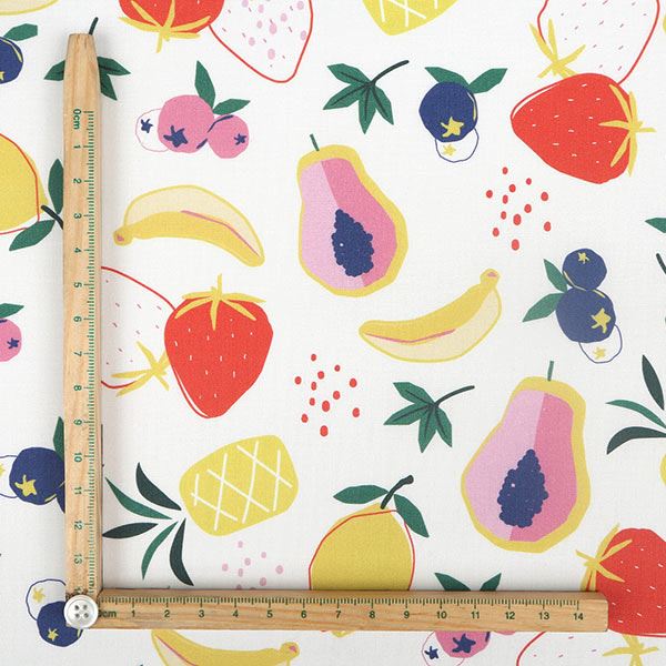 【シーチングorオックス:50cm単位】 エコファブリック fab-cm00479