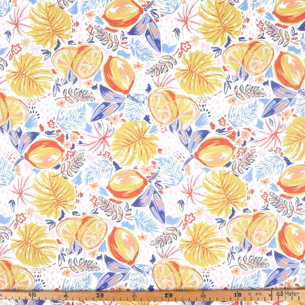 【シーチングorオックス:50cm単位】 エコファブリック fab-cm00483