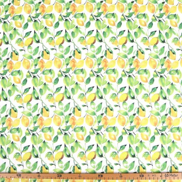 【シーチングorオックス:50cm単位】 エコファブリック fab-cm00577