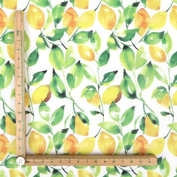 【シーチングorオックス:50cm単位】 エコファブリック fab-cm00577