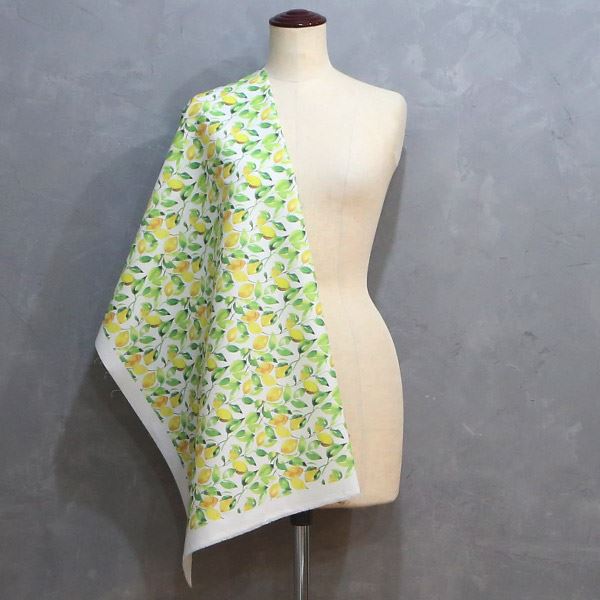 【シーチングorオックス:50cm単位】 エコファブリック fab-cm00577