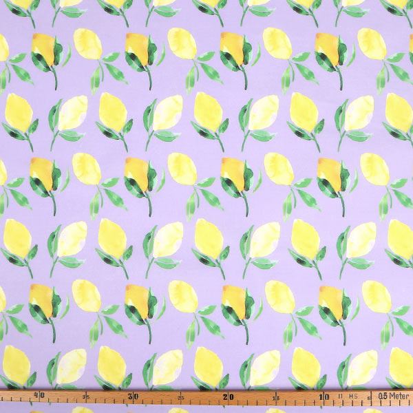 【シーチングorオックス:50cm単位】 エコファブリック fab-cm00578