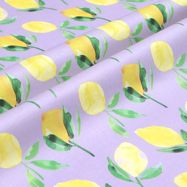 【シーチングorオックス:50cm単位】 エコファブリック fab-cm00578