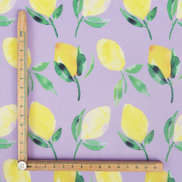 【シーチングorオックス:50cm単位】 エコファブリック fab-cm00578