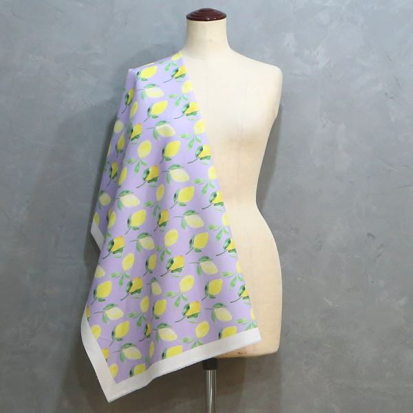 【シーチングorオックス:50cm単位】 エコファブリック fab-cm00578