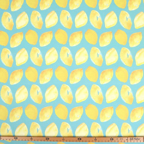 【シーチングorオックス:50cm単位】 エコファブリック fab-cm00579